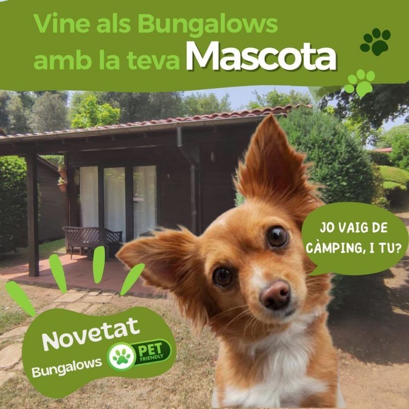 Convivència  i mascotes al càmping Lava Parc
