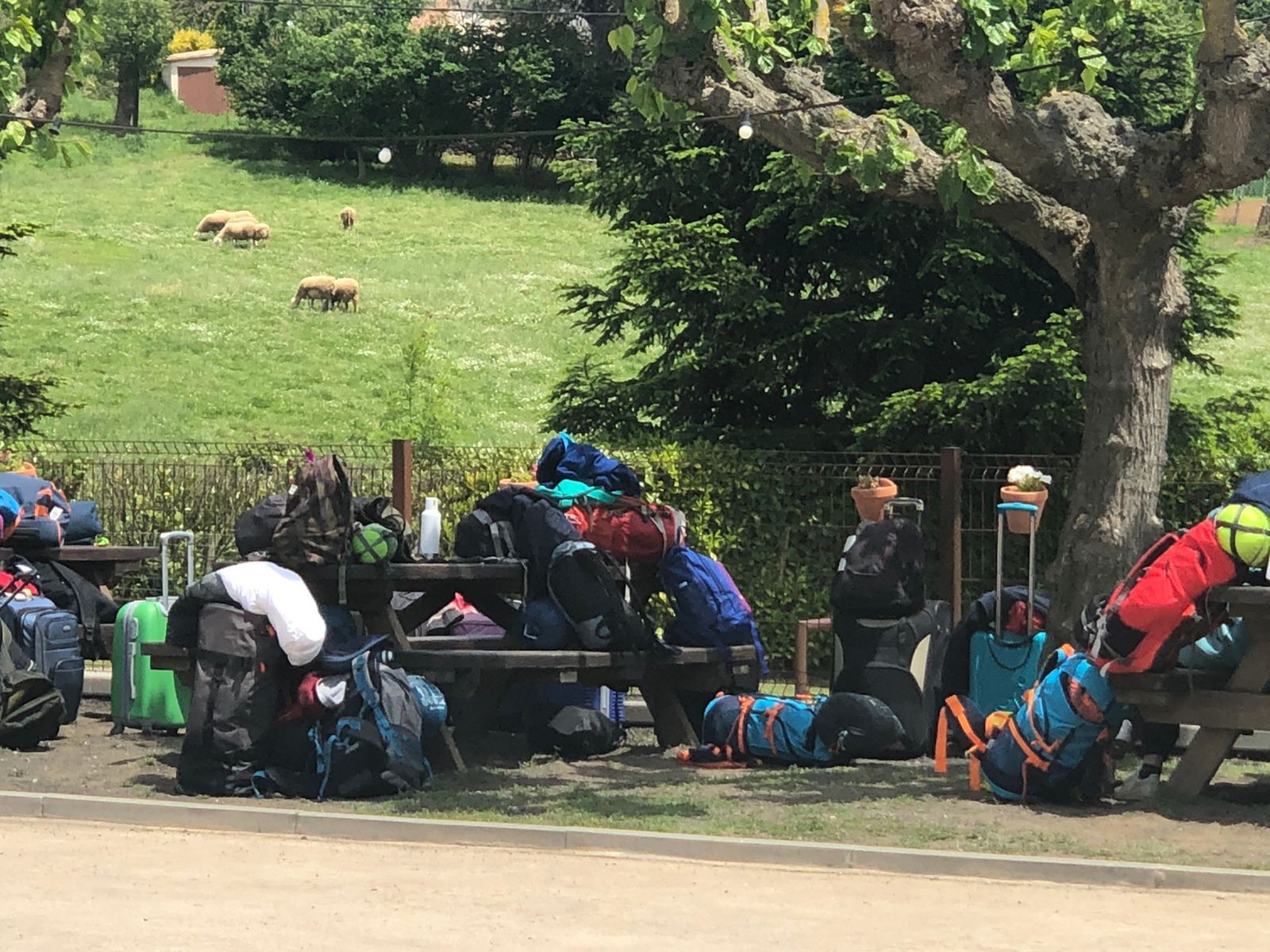 Vista previa de Colonies Activitats Escolars Al Lava Parc, creada como descripción extendida del recurso de medios; adjunto 1790, token d690dd.
