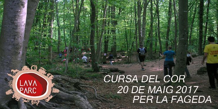 Fotografía descriptiva de Cursa Del Cor utilizada para complementar el contenido de la página; identificador interno 1336 con referencia a0584f.