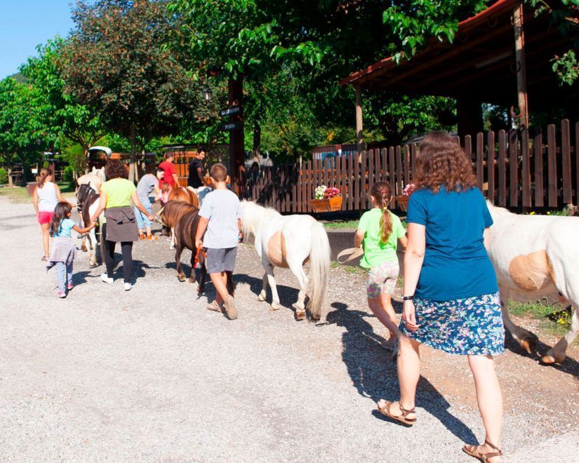 visita granja garrotxa
