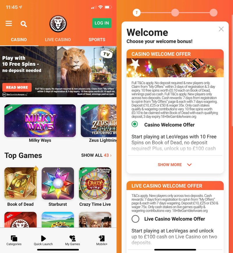 Love Casino UK: A Complete Review of the Mobile App Experience, lovecasino app