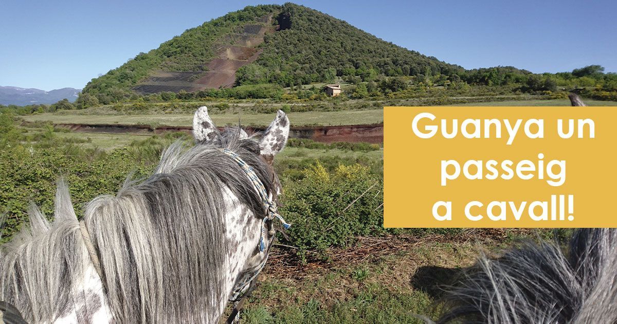 Imagen ilustrativa relacionada con Paseo A Caballo, generada automáticamente como recurso visual de apoyo (ID 1494, código b02a79).