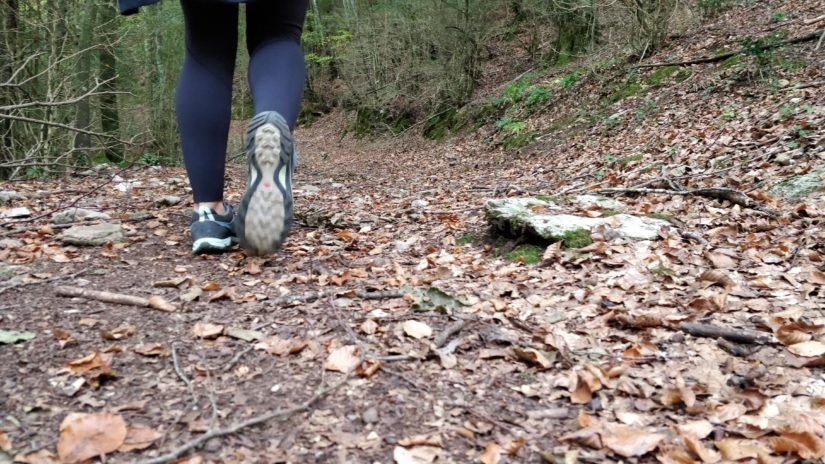 rutas y actividades al hayedo de jorda